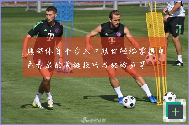 熊猫体育平台入口助你轻松掌握角色养成的关键技巧与经验分享