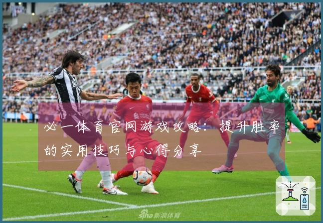 必一体育官网游戏攻略：提升胜率的实用技巧与心得分享