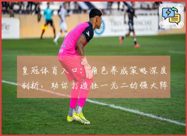 皇冠体育入口：角色养成策略深度剖析，助你打造独一无二的强大阵容